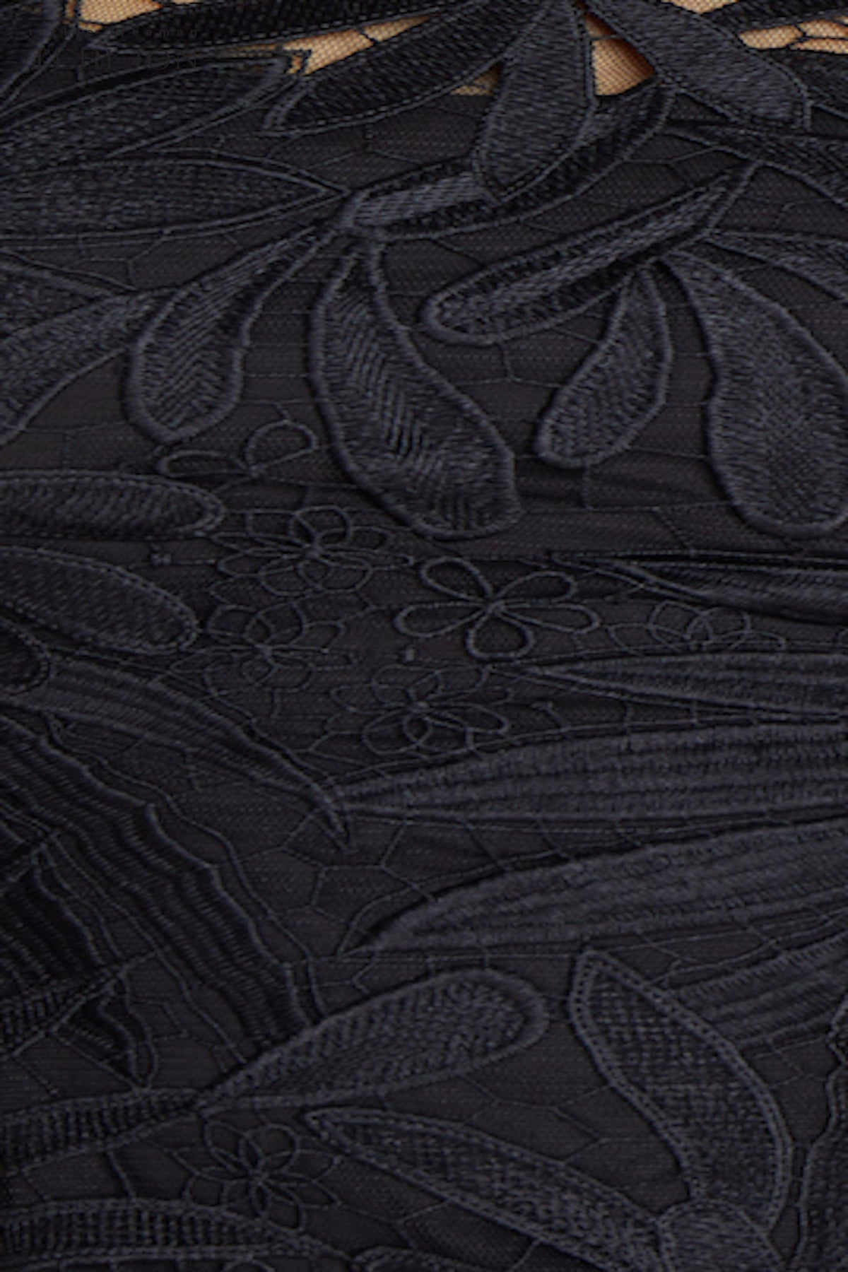 Color_Black