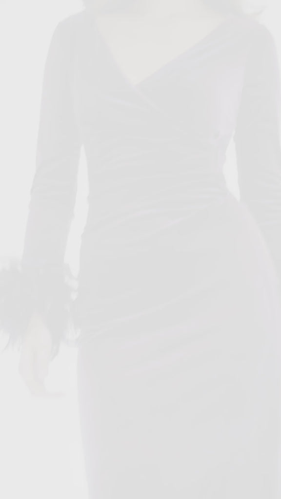 Color_Plum